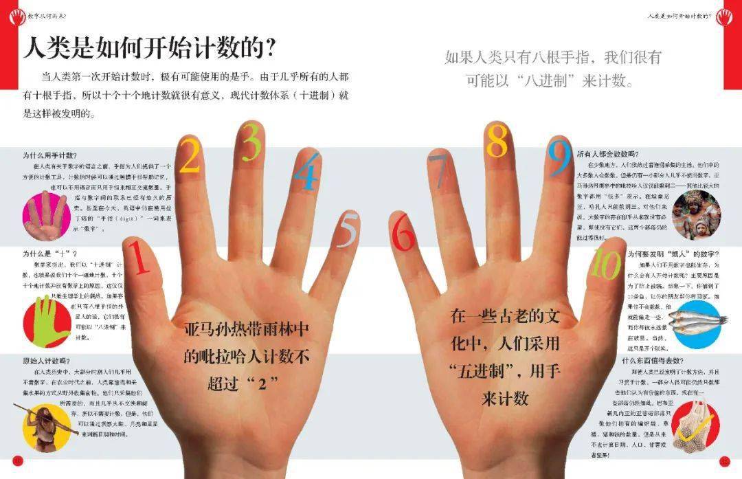 人类是如何开始计数的?